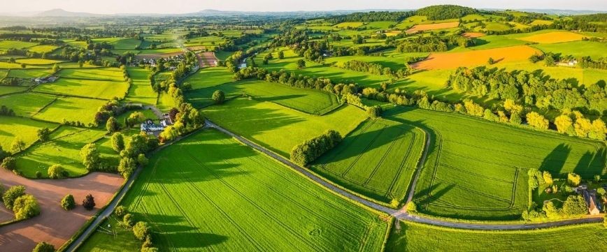 Agriculture Farm Land on Yamuna Expressway 