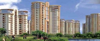 SDS NRI  Residency